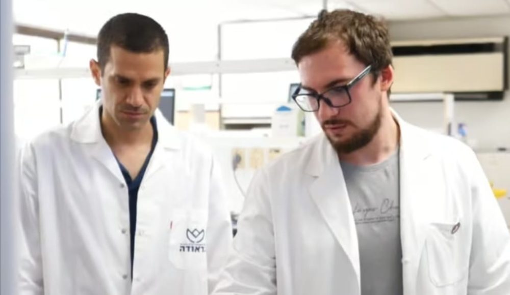 ד"ר גלעד אלפסי