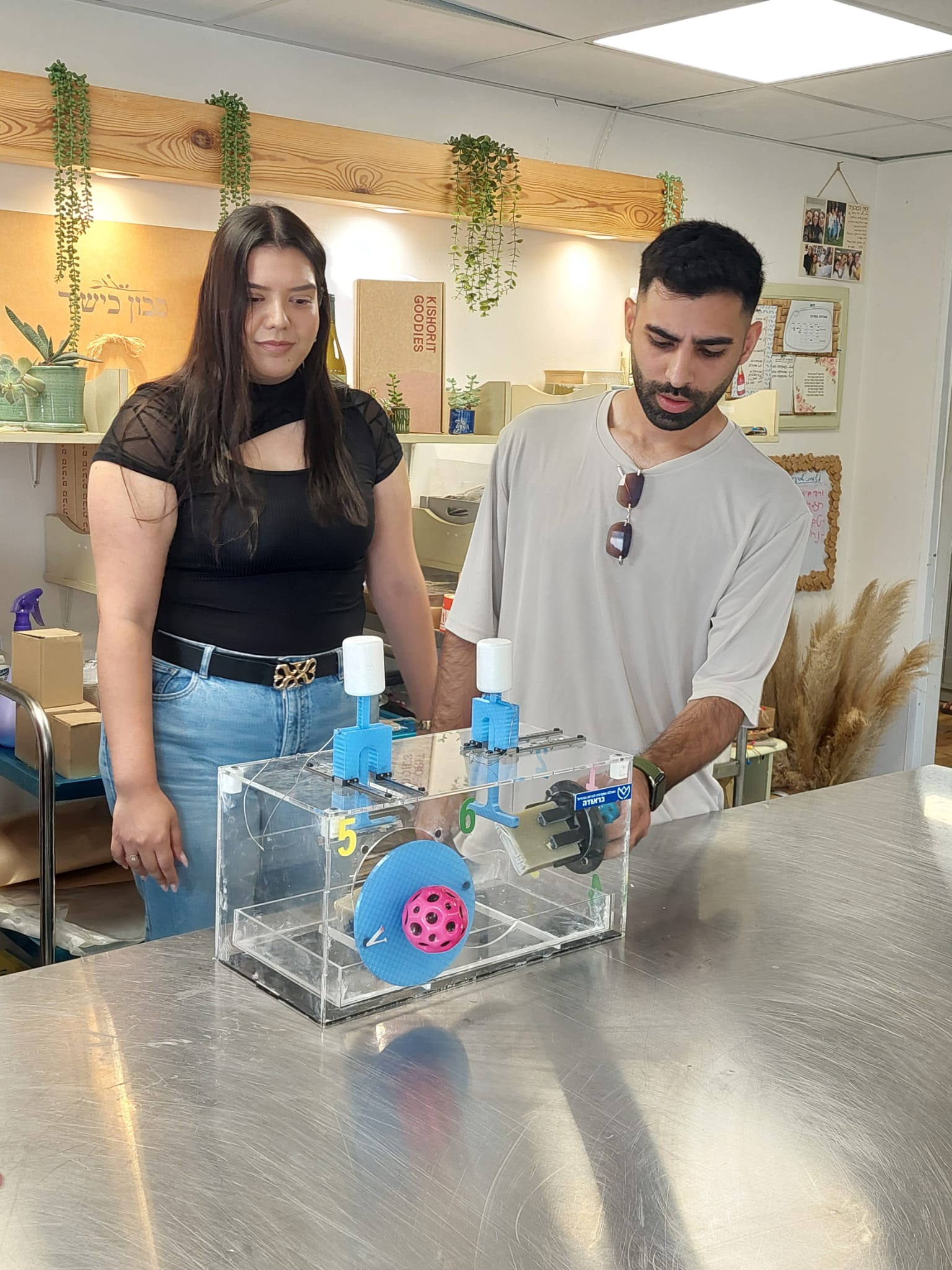 הסטודנטים שקד וליאור
